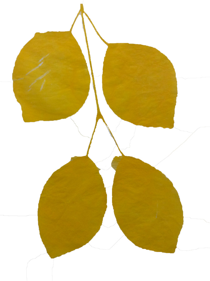 leaves-regina-saura-mostaza